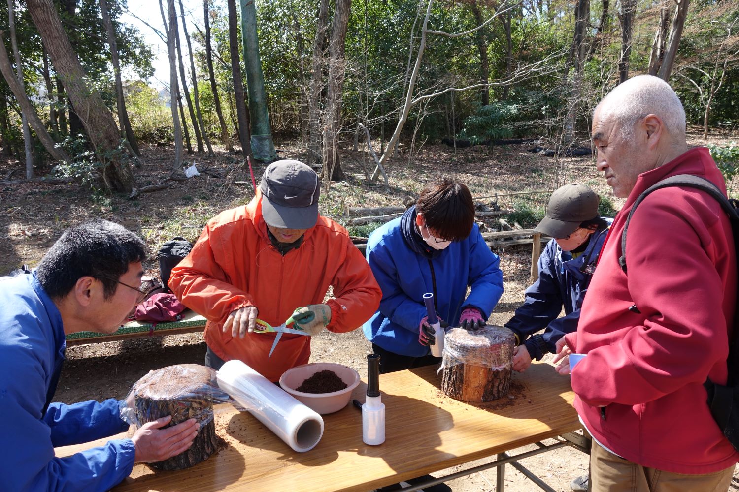 サンドイッチ栽培作業中