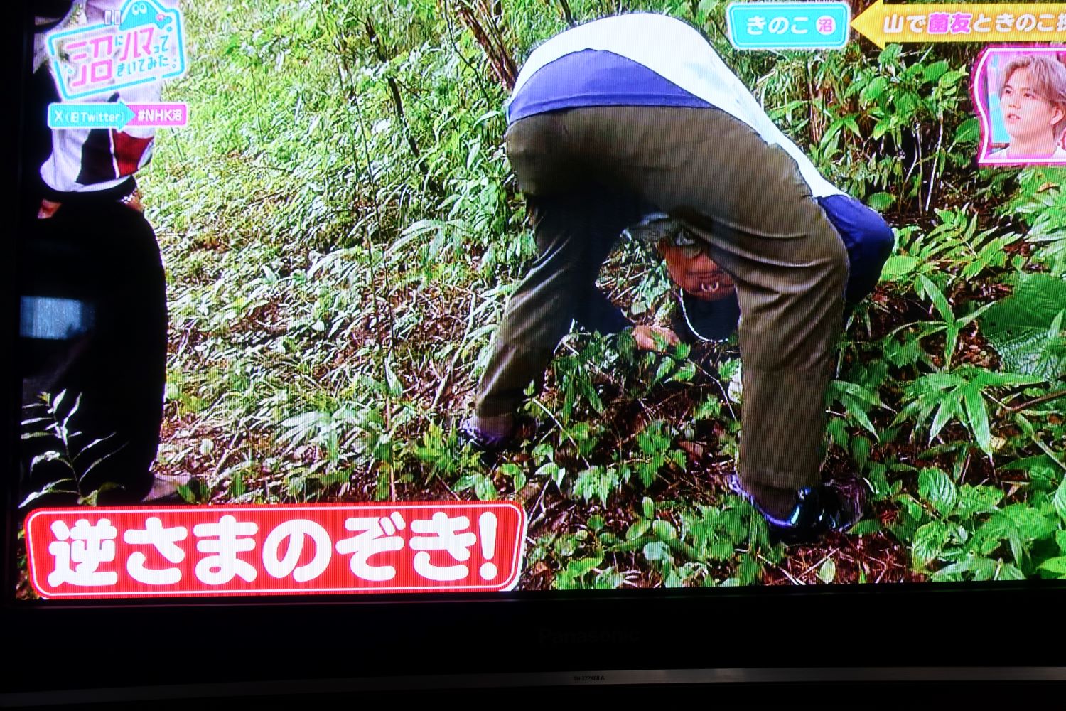 Eテレ出演