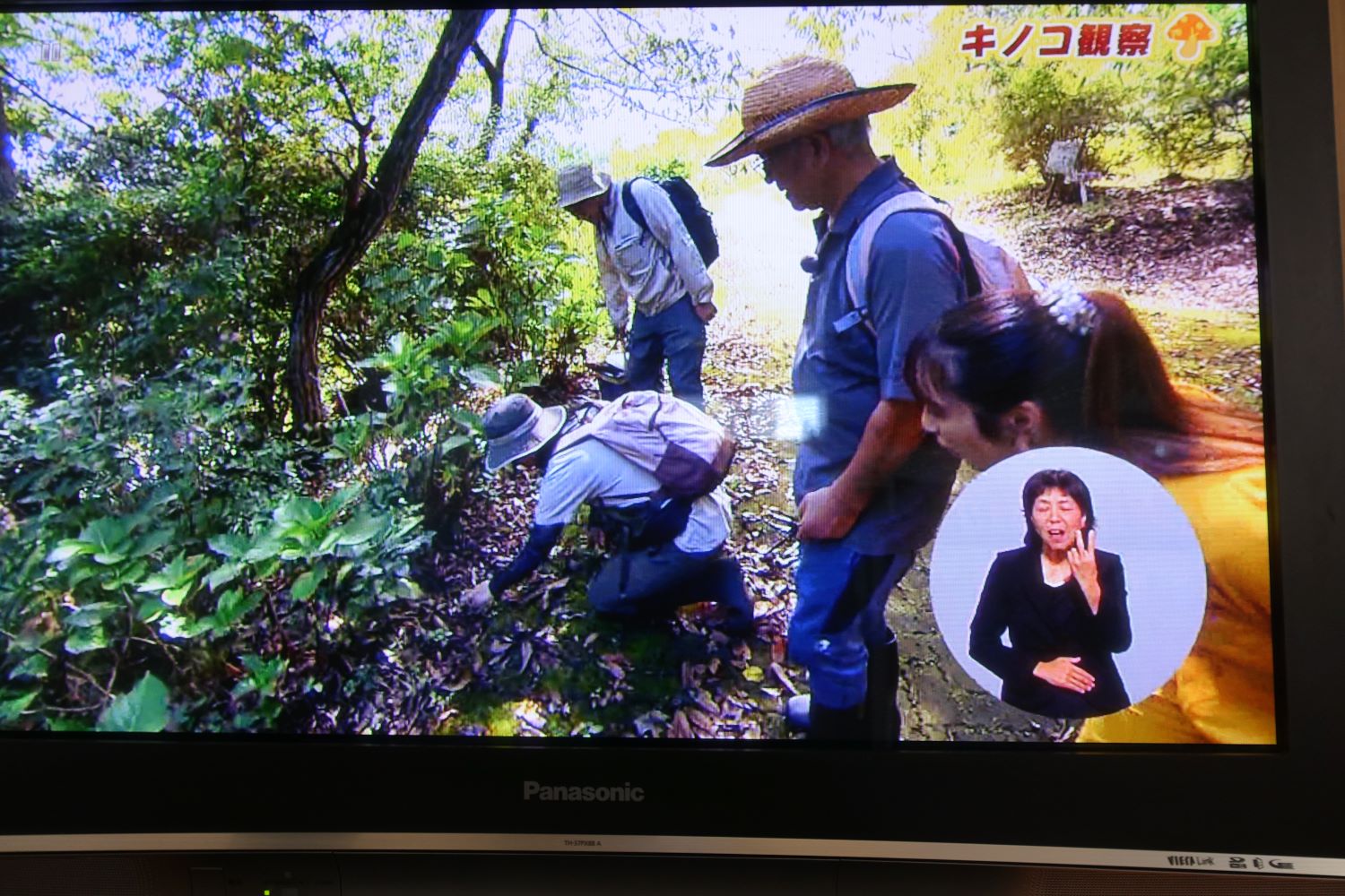 テレビ埼玉